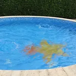 호텔 Rai